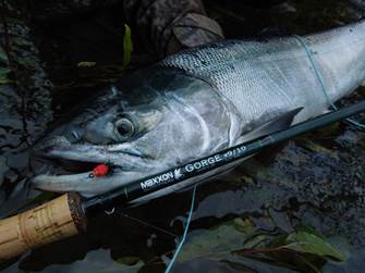 Maxxon Gorge Fly Rod